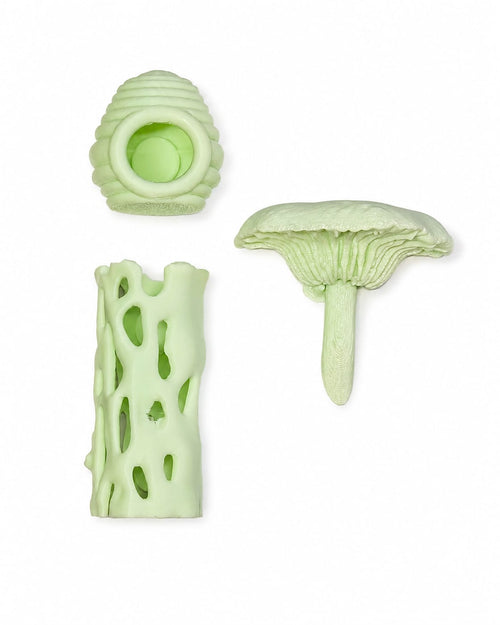 Accessory Set