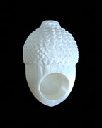 Adult Jumping Spider Acorn Hide