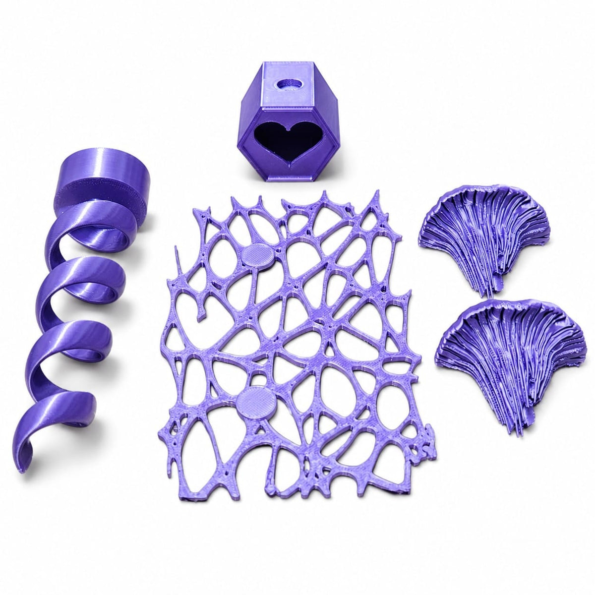 Adult Jumping Spider Set