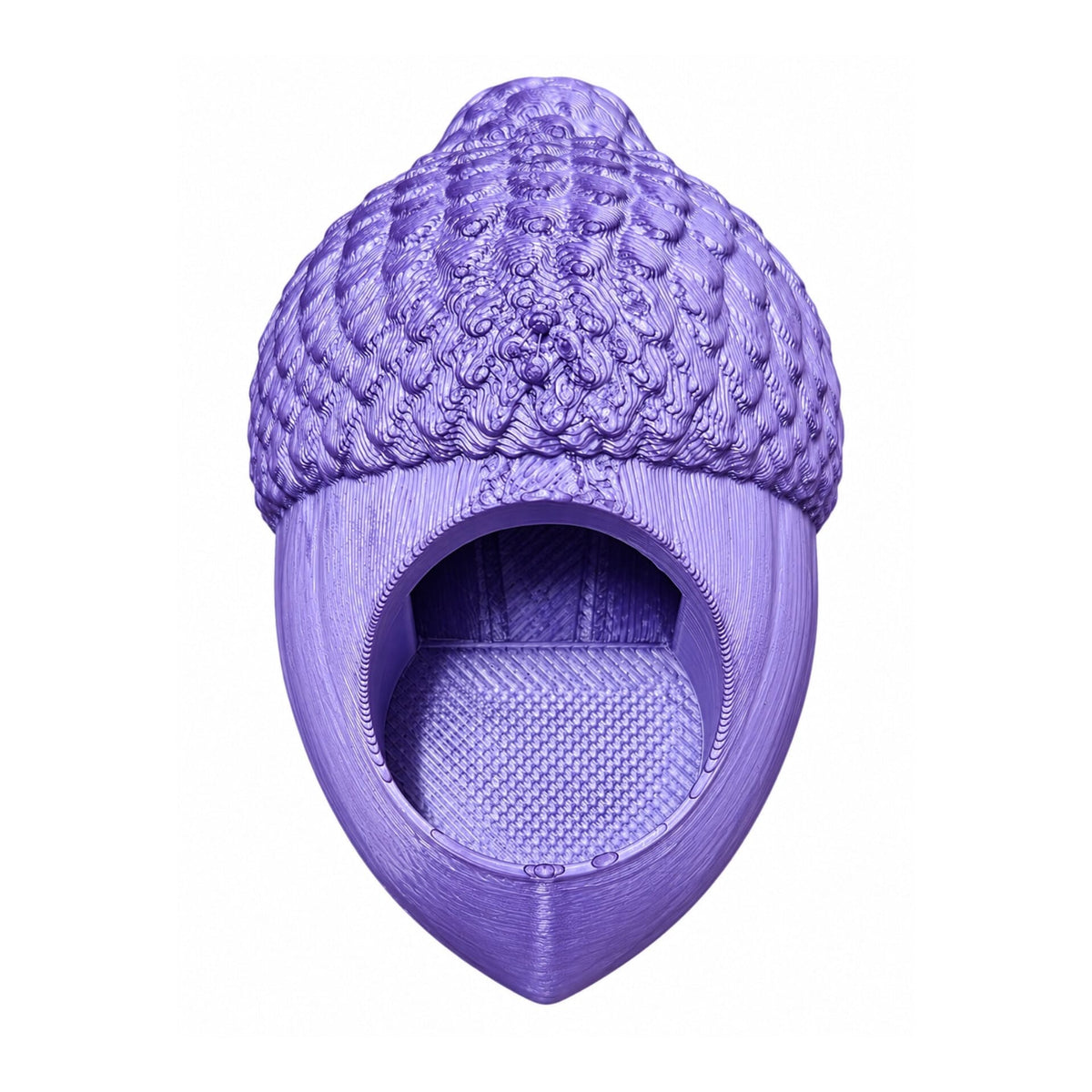 Adult Jumping Spider Acorn Hide