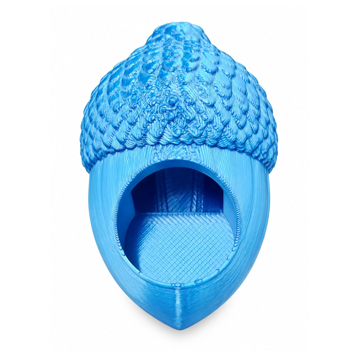 Adult Jumping Spider Acorn Hide