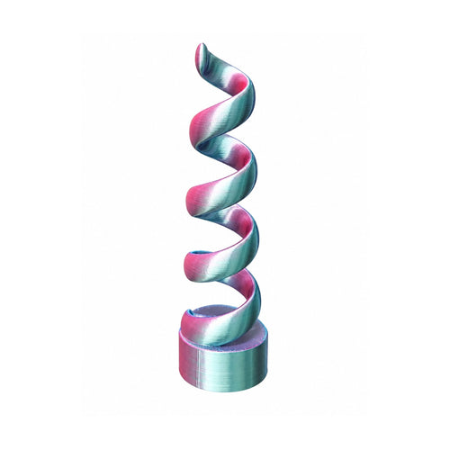 Adult Jumping Spider Spiral