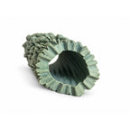 Adult Jumping Spider Flower Multi Hide, Ledges and Bark Tube