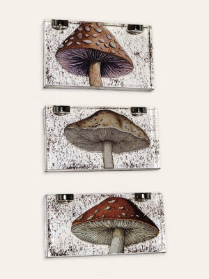 Mushroom Ledges